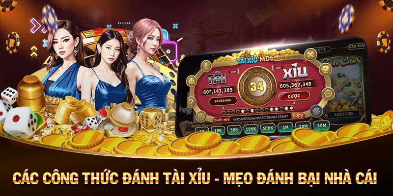 K9win-Khám phá thế giới qua ứng dụng Android／IOS!